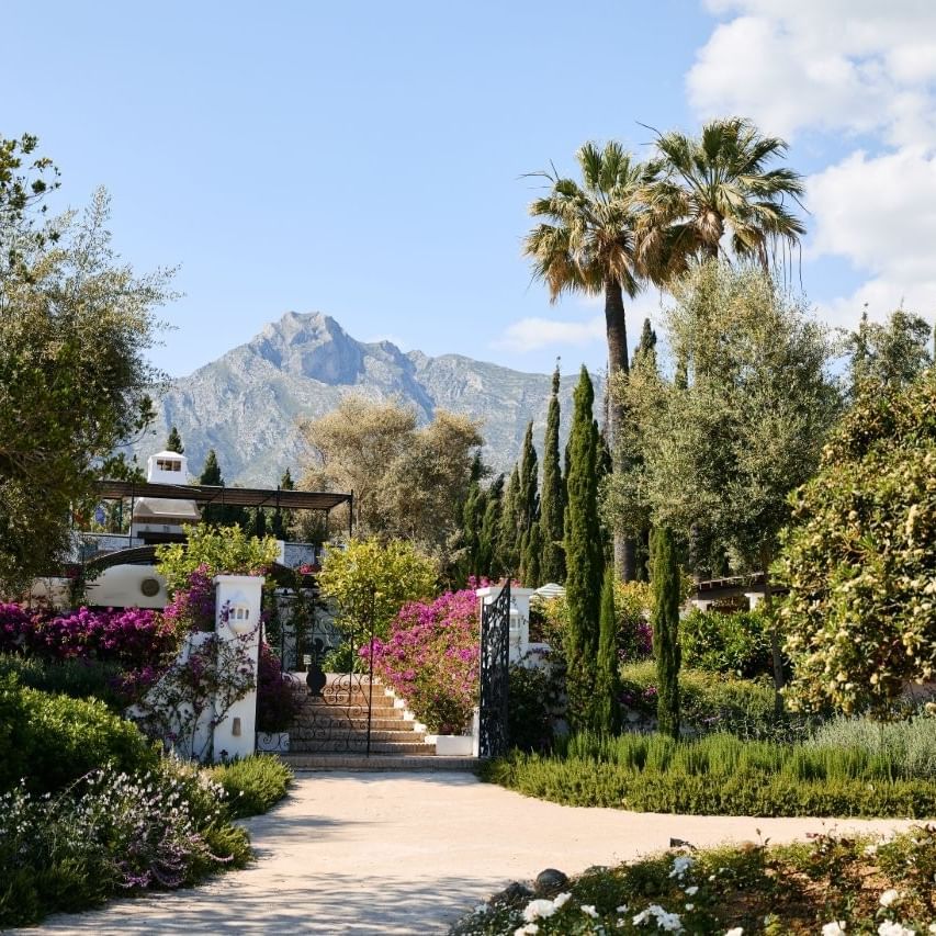 Lush garden with a pathway, a white gate, and a backdrop of mountains under a blue sky.