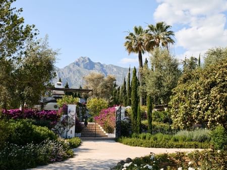 Entrada a jardín con escaleras, palmeras, árboles, flores y montaña al fondo en un día soleado.