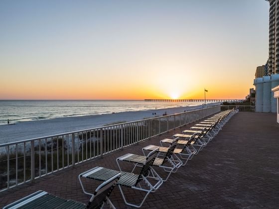 Flamingo Hotel and Tower - Homepage