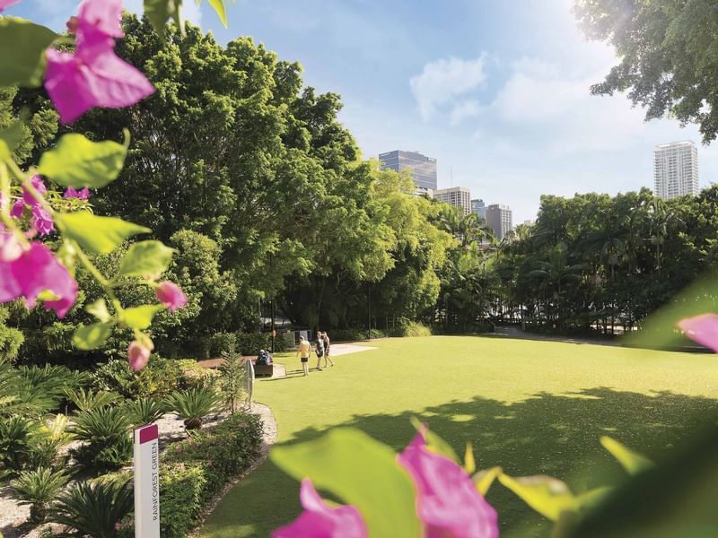 Lush greenery in Southbank Parklands near Pullman King George Square