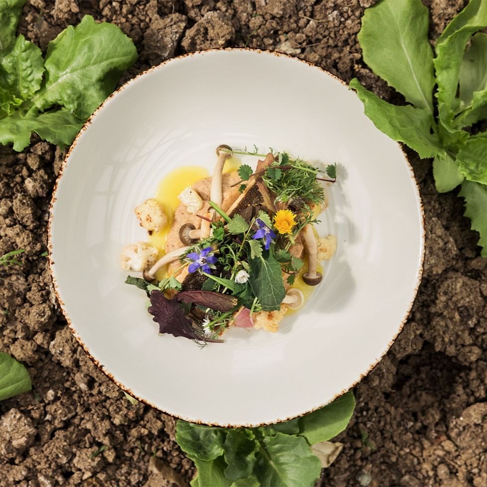 Plate of mushrooms, herbs, and vegetables on the ground for an event.