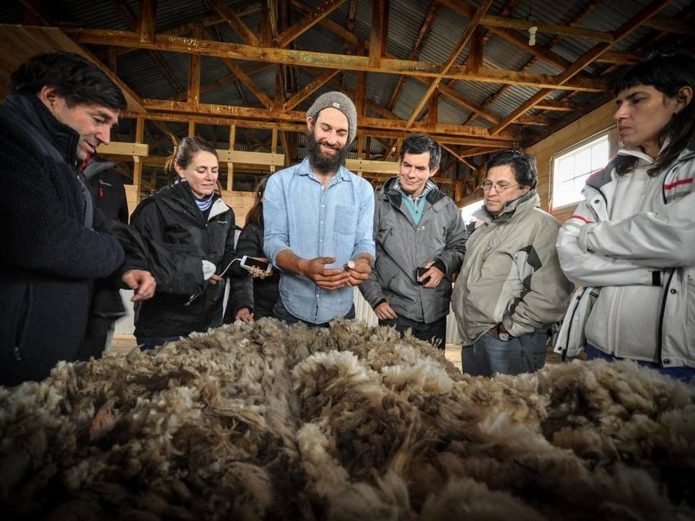 People observing sheep's wool near Hotel Cabo de Hornos
