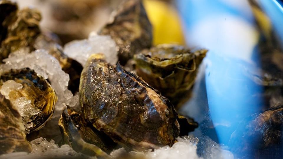Close-up of Bivalvia in Oyster Bar & Grill at Crown Melbourne