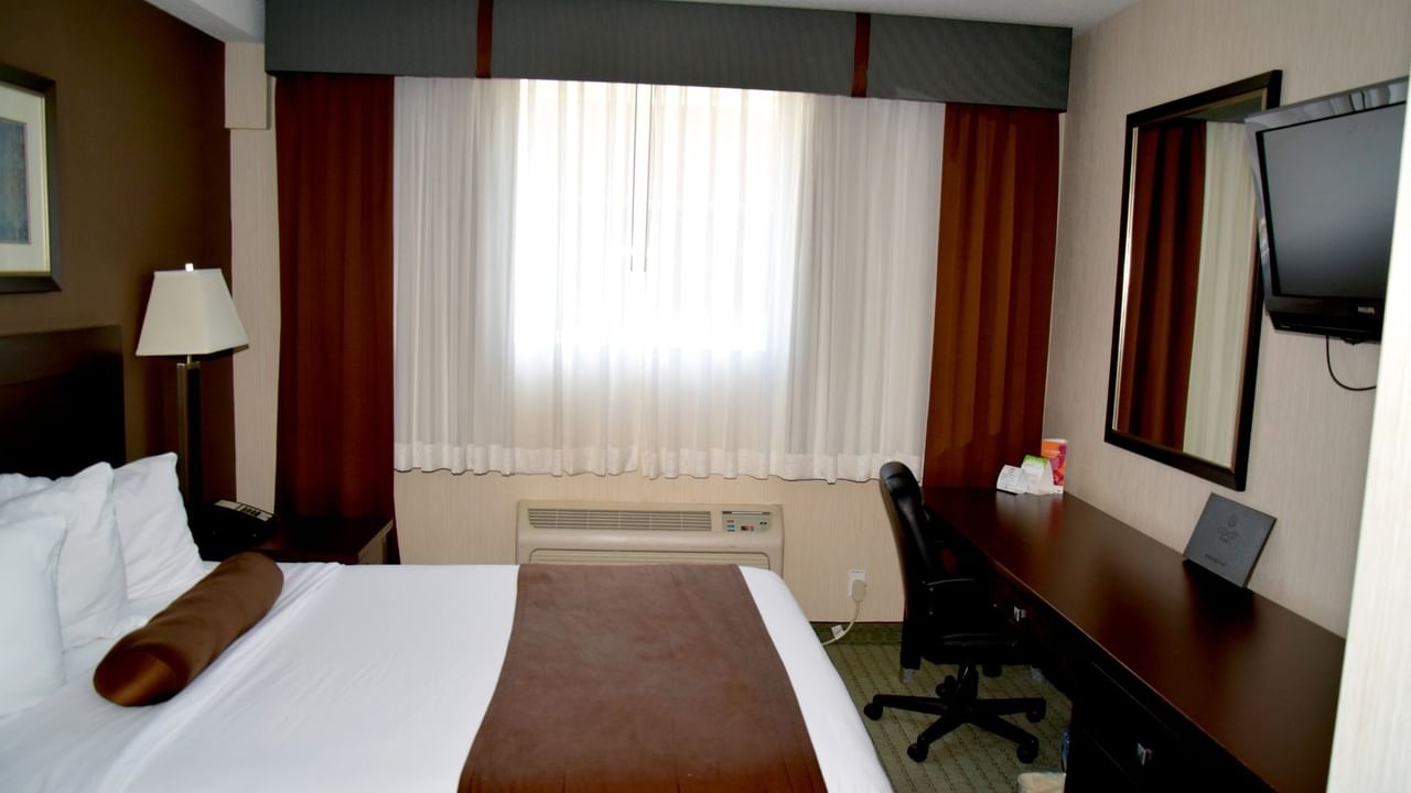 Hotel room with bed, desk, chair, lamp, TV, and window with curtains.
