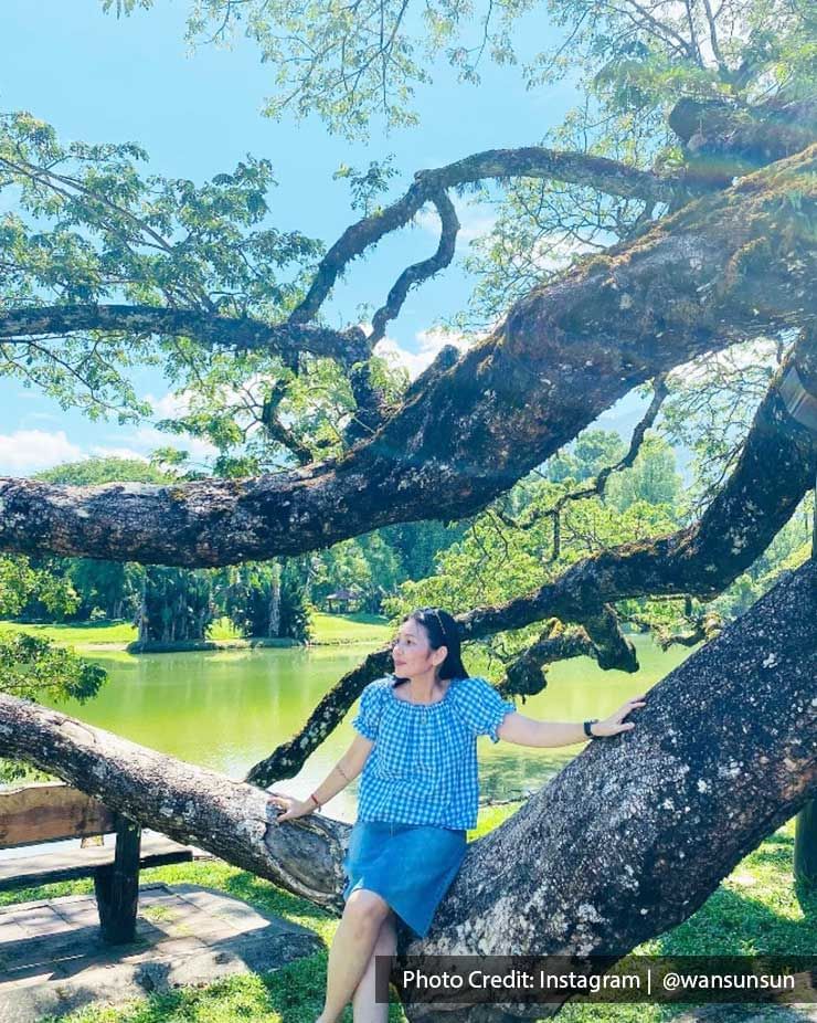 A woman was sitting on the tree branch at Taiping Lake Gardens - Lexis Suites Penang