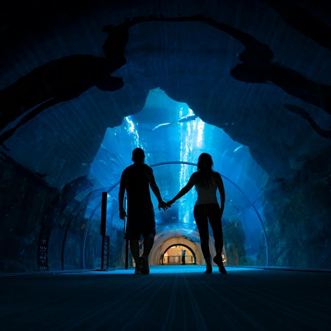 Dubai Aquarium & Underwater Zoo