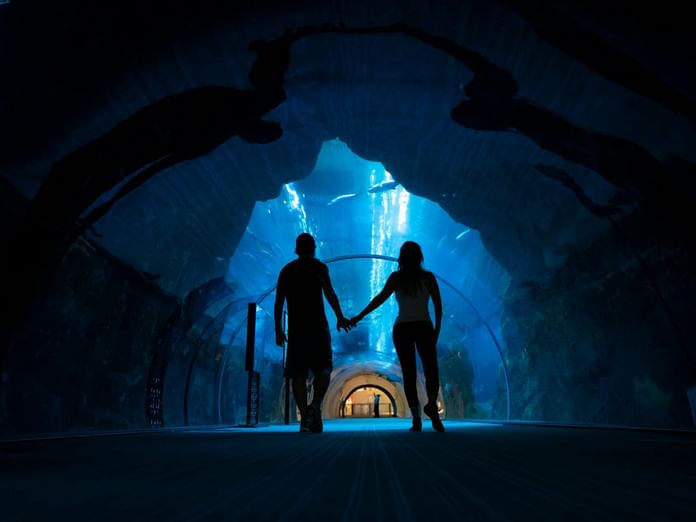 Dubai Aquarium & Underwater Zoo
