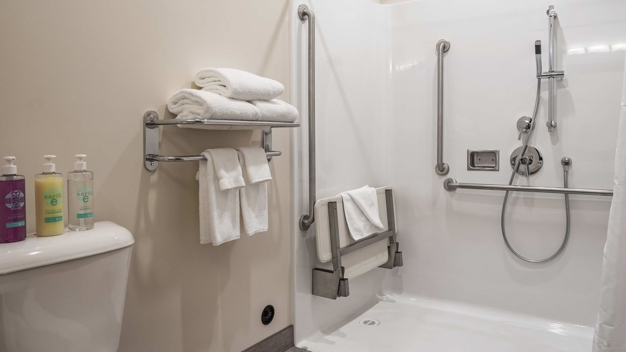 Accessible shower with grab bars