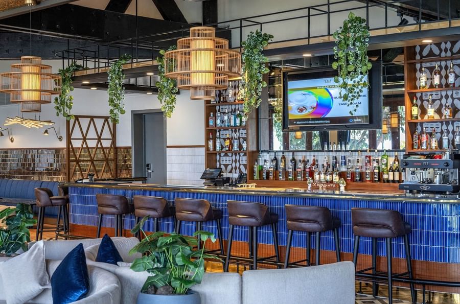 Brown bar stools by a blue tiled counter under hanging vines and lights in Hibiscus Lounge at Warwick Fiji Resort and Spa