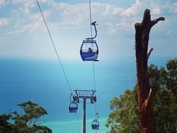 Cable cars hanging in the sky overlooking water and trees