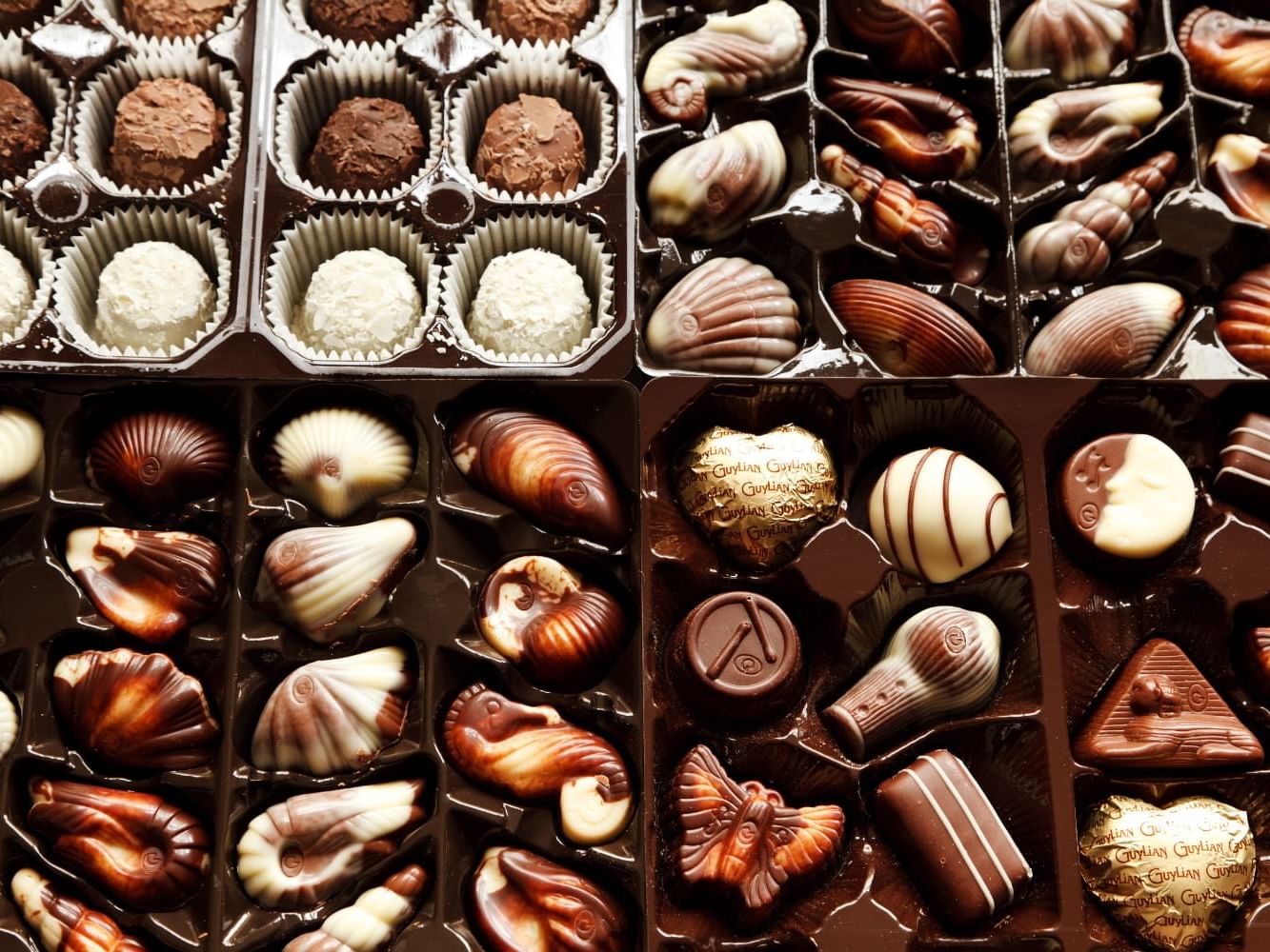 Close-up of mini chocolate bars served at Maine’s Chocolate Trail near Ogunquit Collection