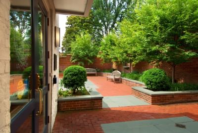 outside couryard area with beautiful foliage