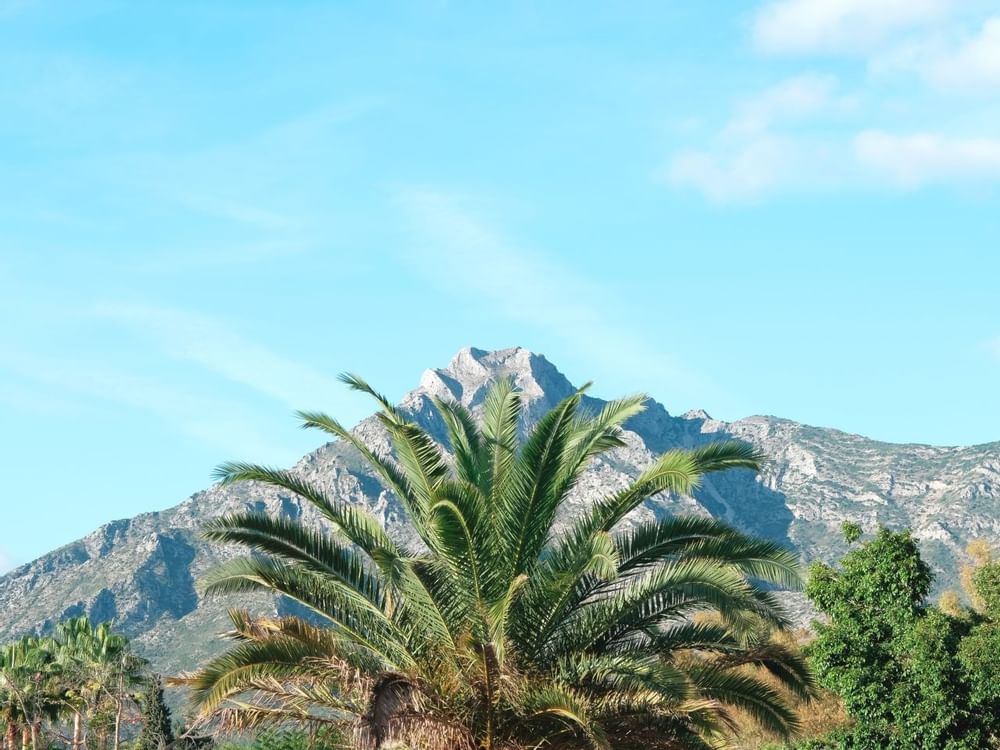 Long shot of a mountain near Marbella Club Hotel