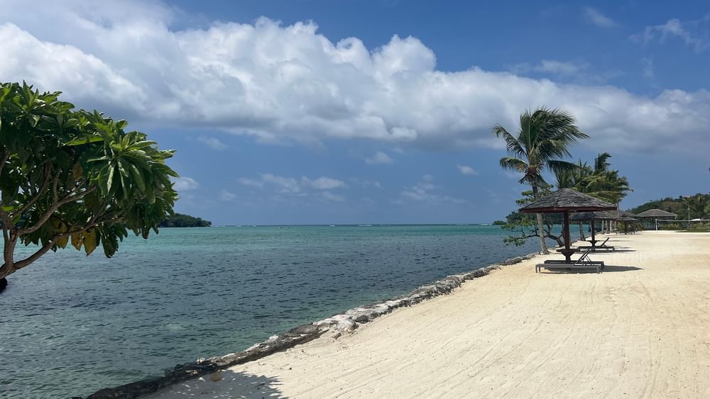 Sandy beach with ocean view and tropical trees at Warwick Le Lagon - Vanuatu in Efate.
