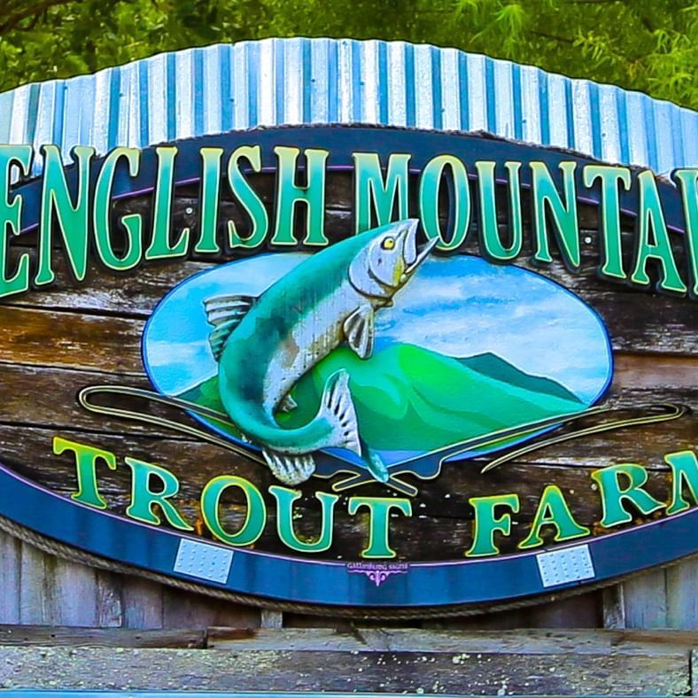 English Mountain Trout Farm