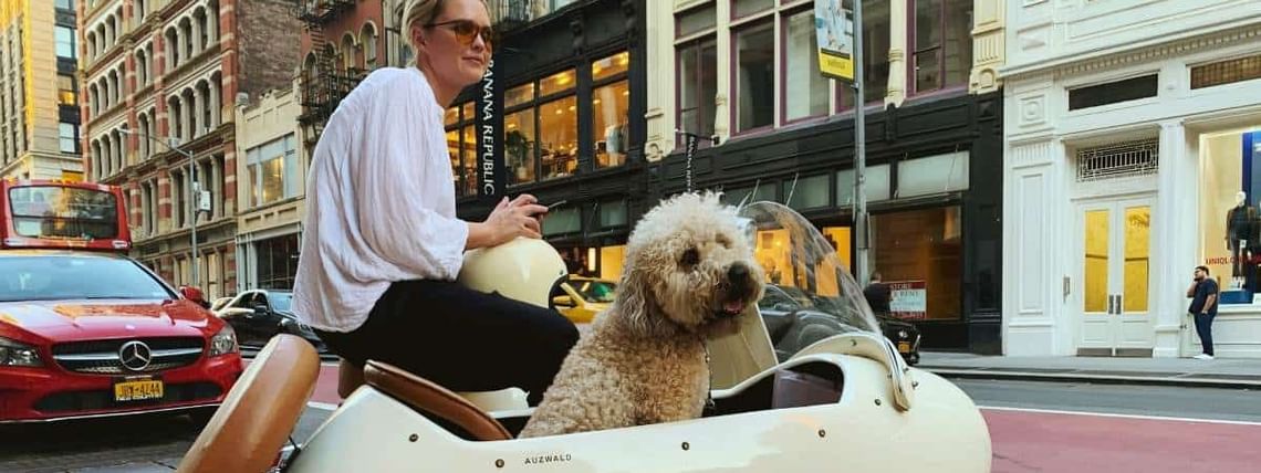 visiting new york with your dog