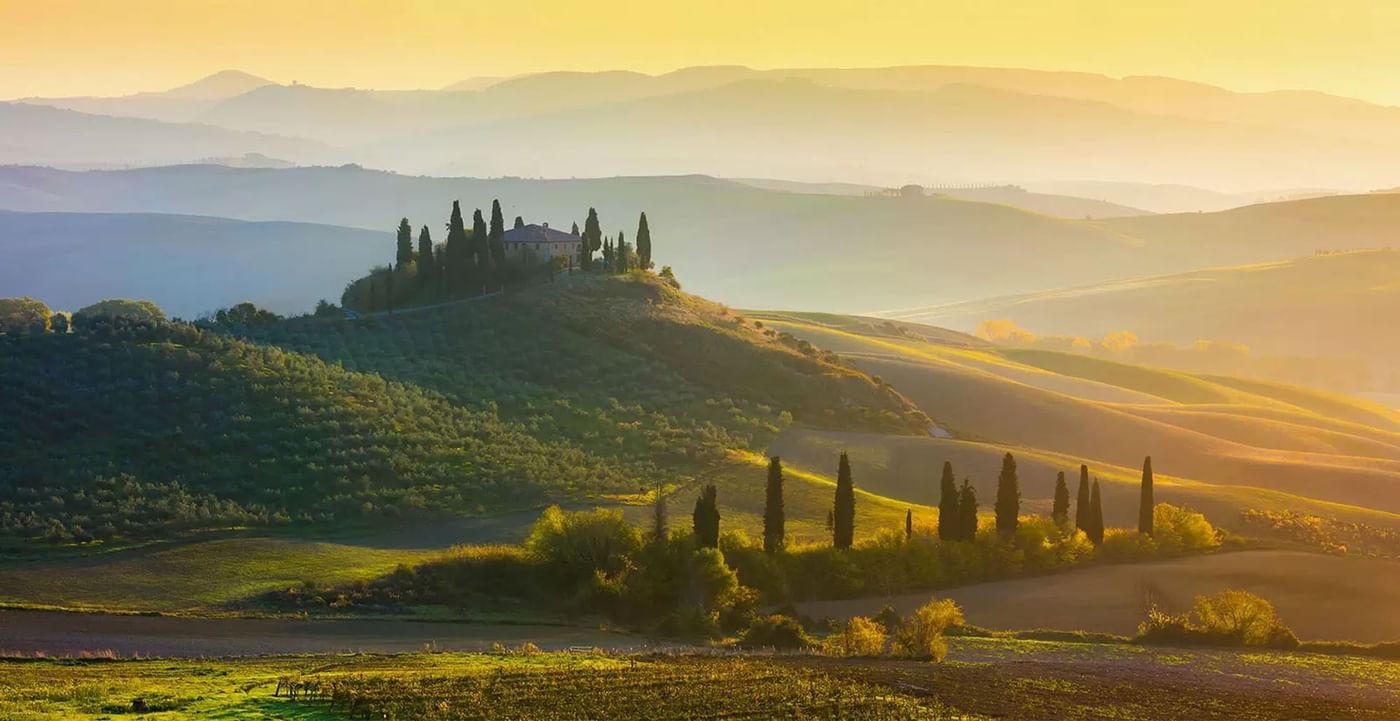 Vineyards and rolling hills in Chianti