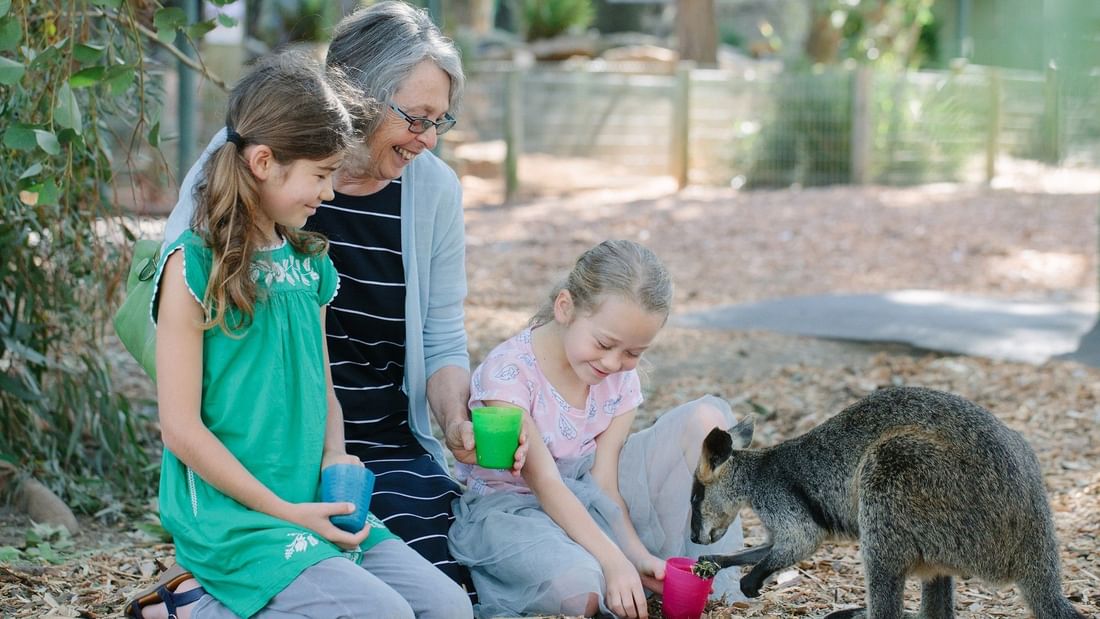 Family of three feeding a kangaroo at Featherdale Sydney Wildlife Park.