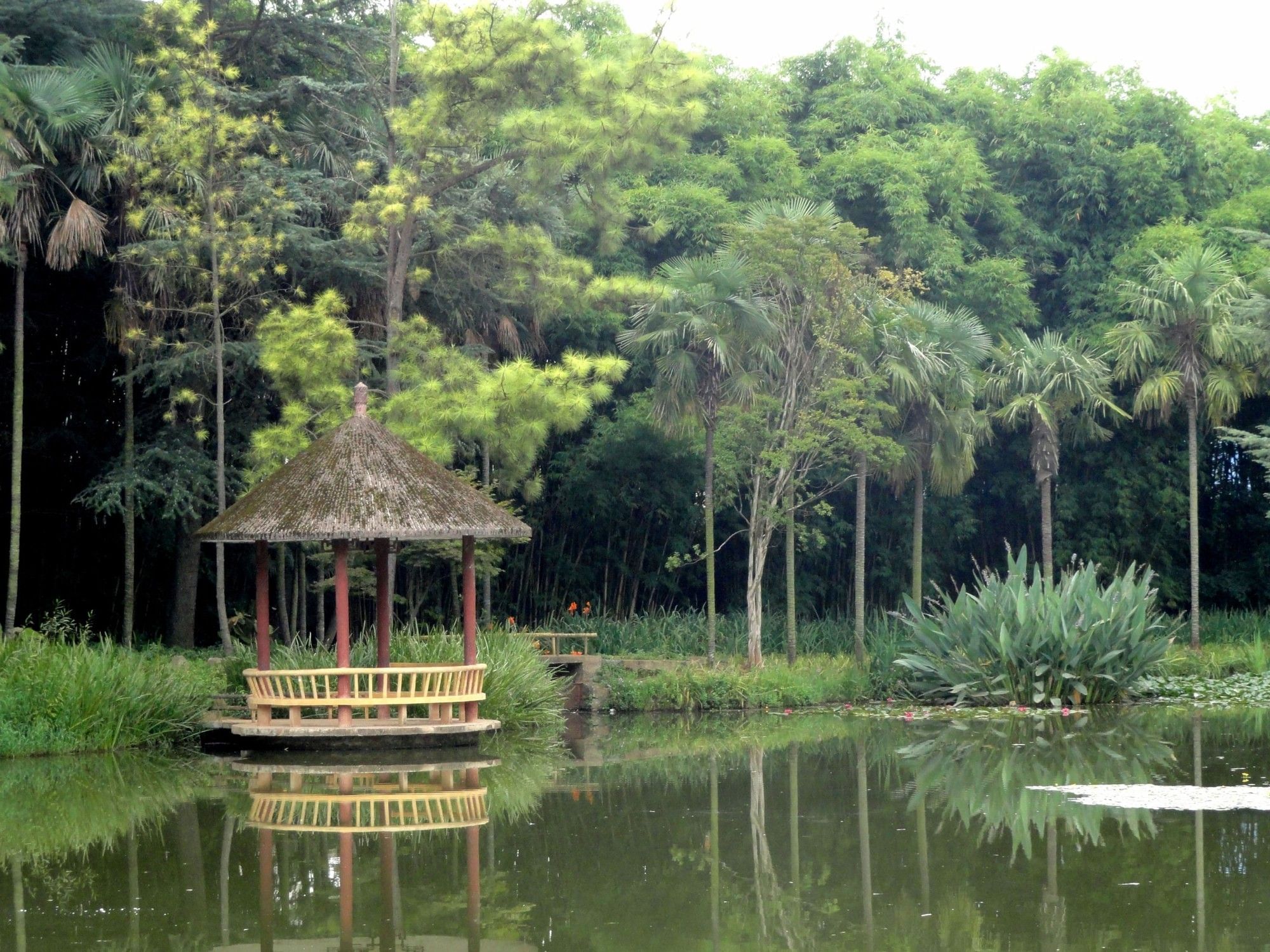 Kunming Botanical Garden