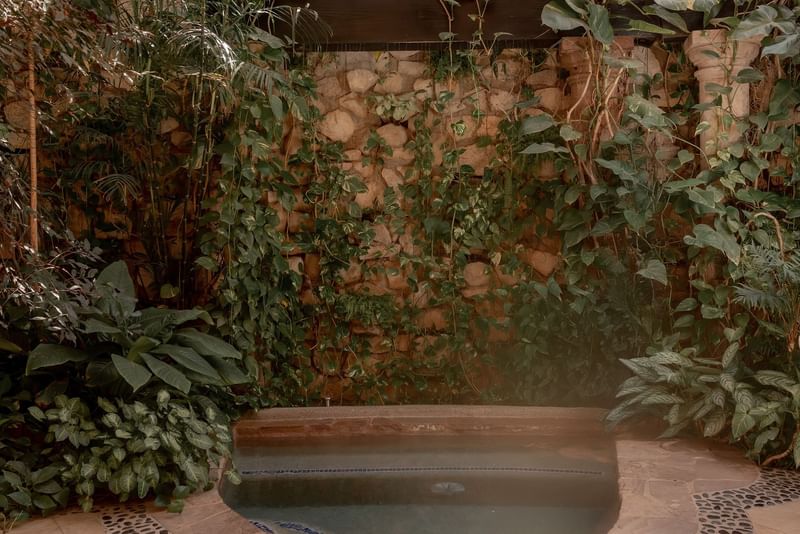 Cozy spa corner featuring a black soaking tub surrounded by greenery and ambient lighting at Hacienda del Mar Los Cabos