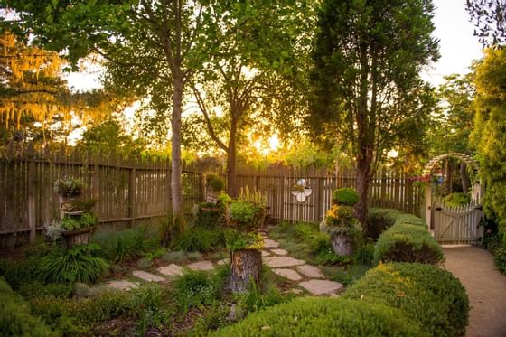 Sun set shining through trees onto a garden with a cobblestone w