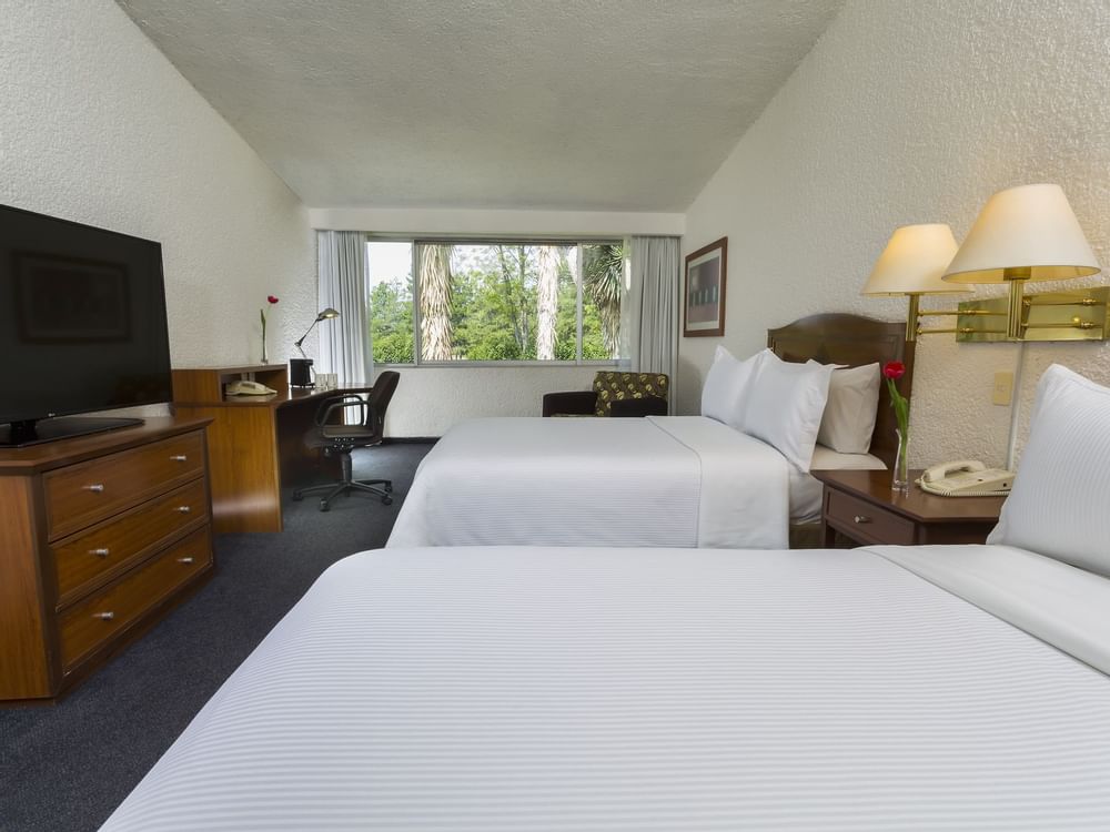 Twin beds with Tv in Double Room at Gamma Hotels