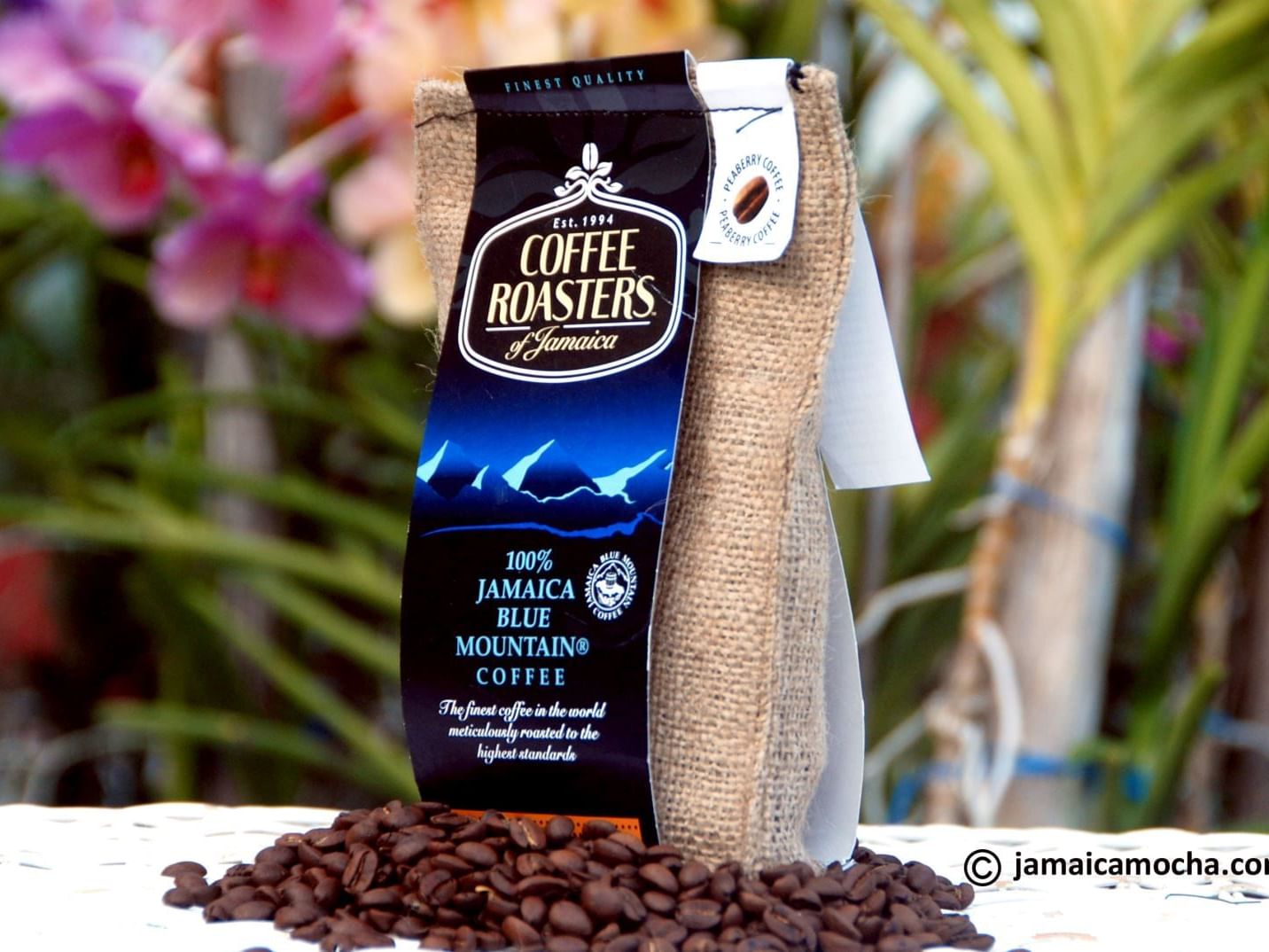 News - Detail page | Courtleigh Hotel & Suites