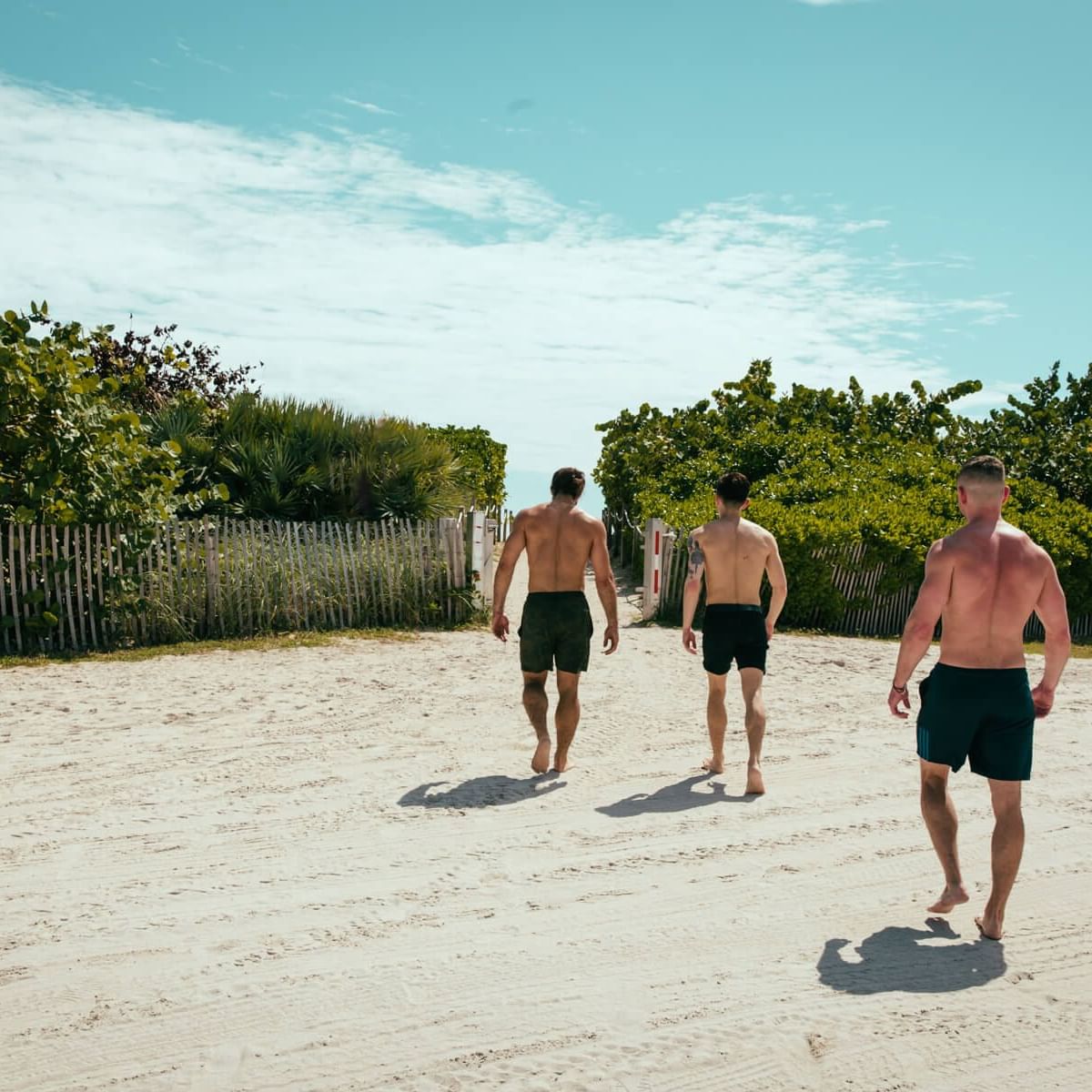 Three men walk along a sandy beach, surrounded by lush greenery and a clear blue sky near The Gaythering