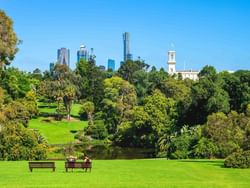 Fascinating view of Royal Botanic Gardens Melbourne near Hotel Grand Chancellor Melbourne