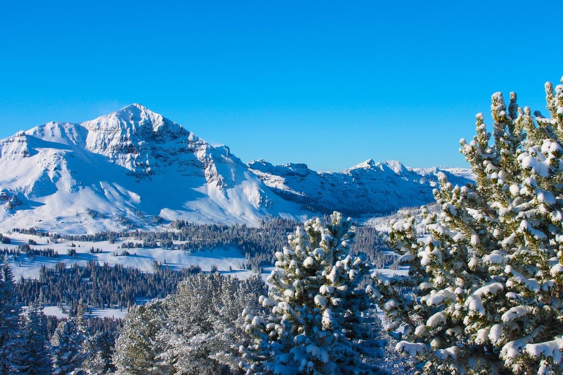 Hotel Near Rocky Mountain National Park | The Stanley Hotel Hotel Near Rocky Mountain National Park | The Stanley Hotel