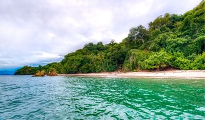 Isla desde el Mar