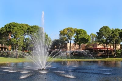 Water fountain in the garden at Rosen Inn Lake Buena Vista