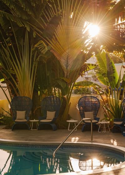 Vibrant pool deck at sunset with wicker peacock chairs and towering traveler's palms at Kenmore Village Hotel South Beach