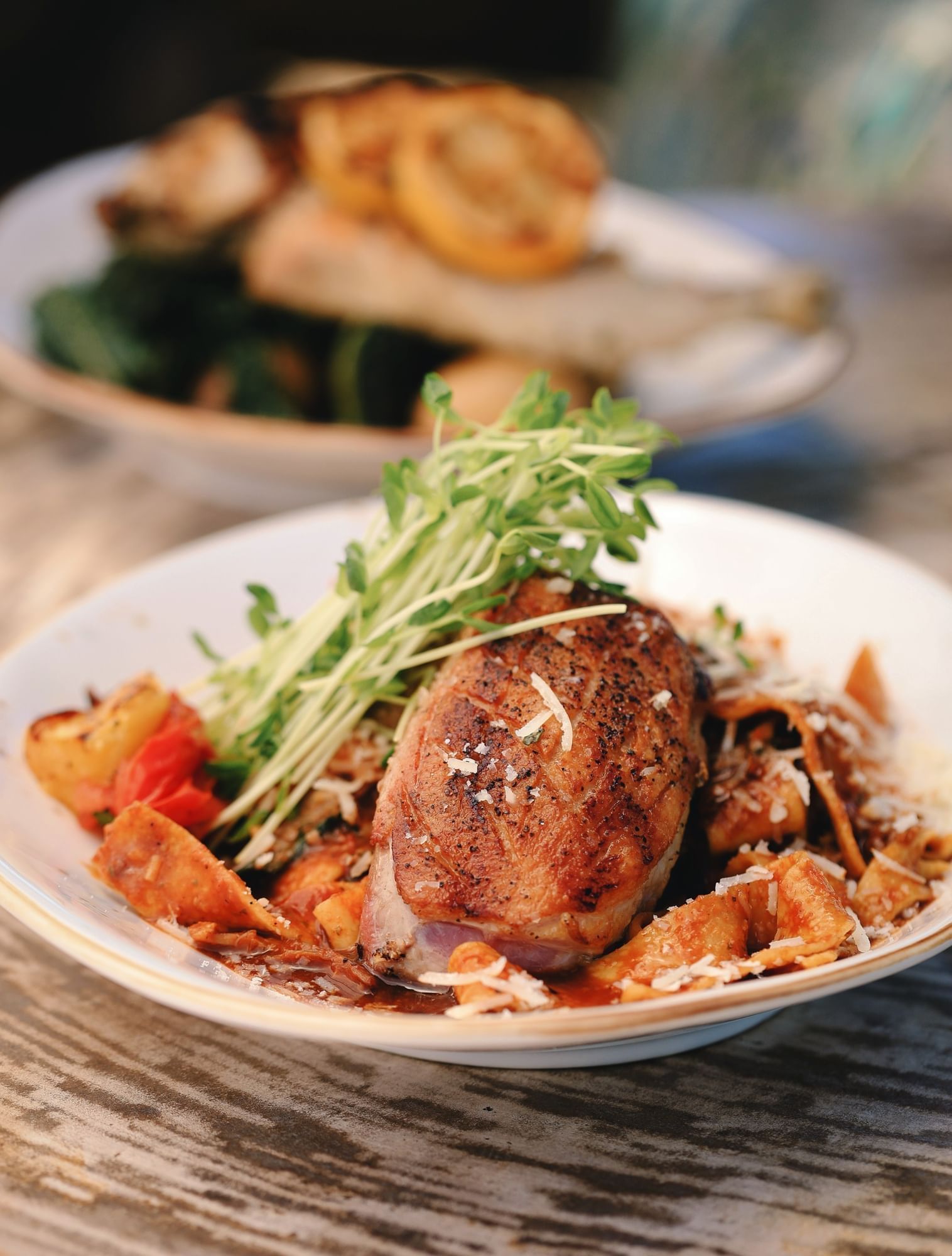 A dish with a seared piece of duck over a bed of thick pasta noodles with a red sauce