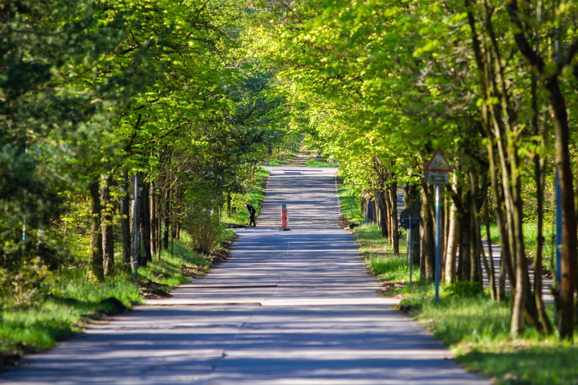 Pathway alongside trees near Müggelseeperle Hotel & Conference