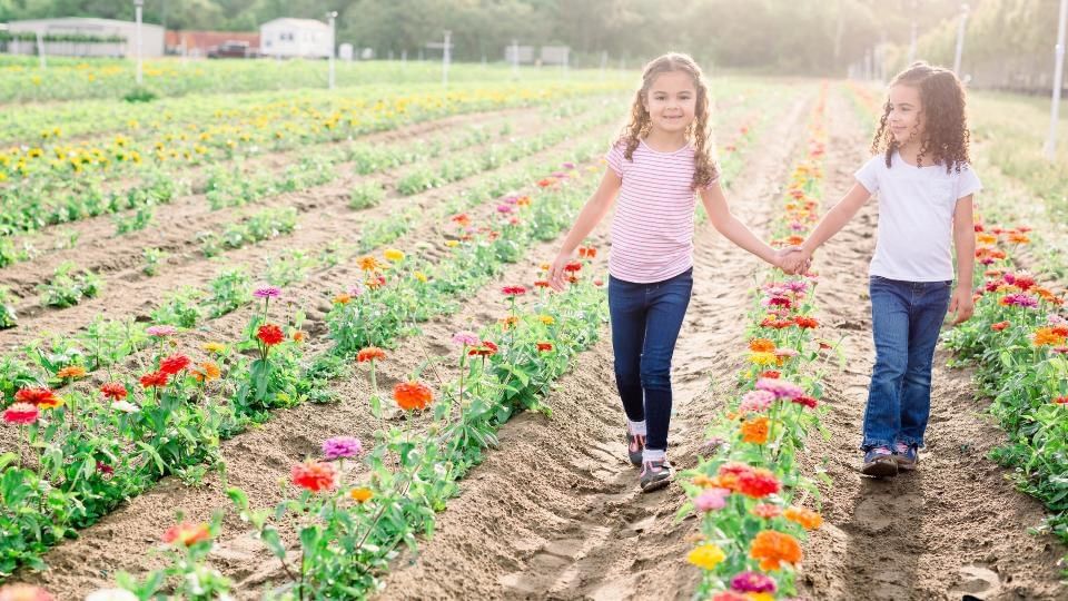 Fall Festival at Southern Hill Farms