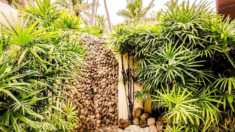 An accent wall of Garden View Villa at Tambua Sands Resort