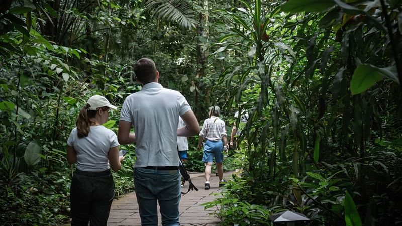 Lush jungle trail with greenery and walkway for hiking at The Banjaran Hotsprings Retreat