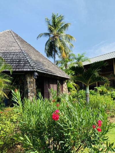 Shingled roof pavilion tucked behind blooming pink oleander bushes and palm trees at Emerald Beach Resort