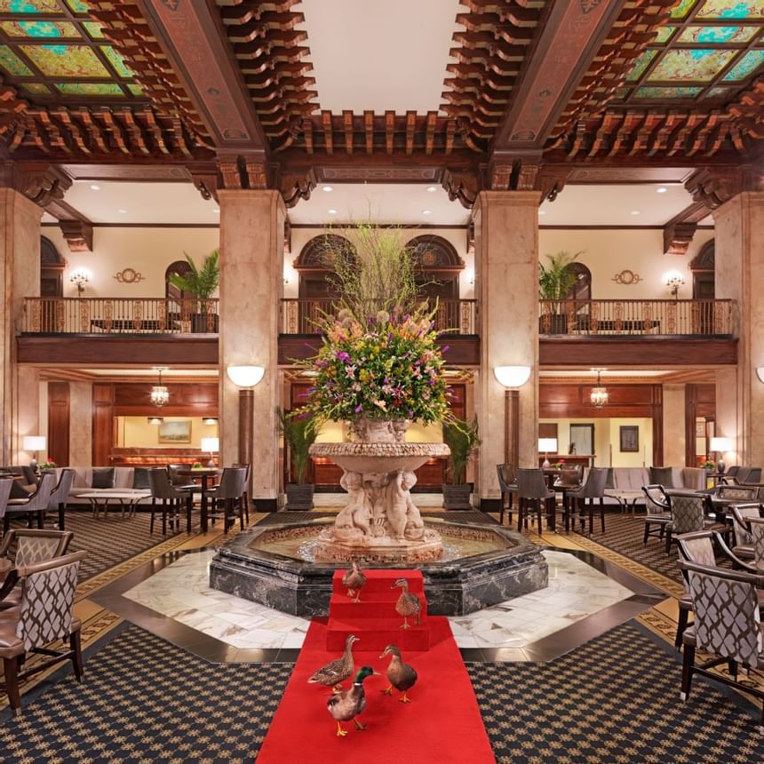 2018 image of Peabody Ducks at Peabody Hotels & Resorts