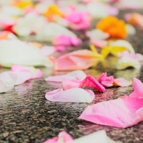 Wedding petals on the floor as the baraat, a Hindu wedding ritual, has taken place