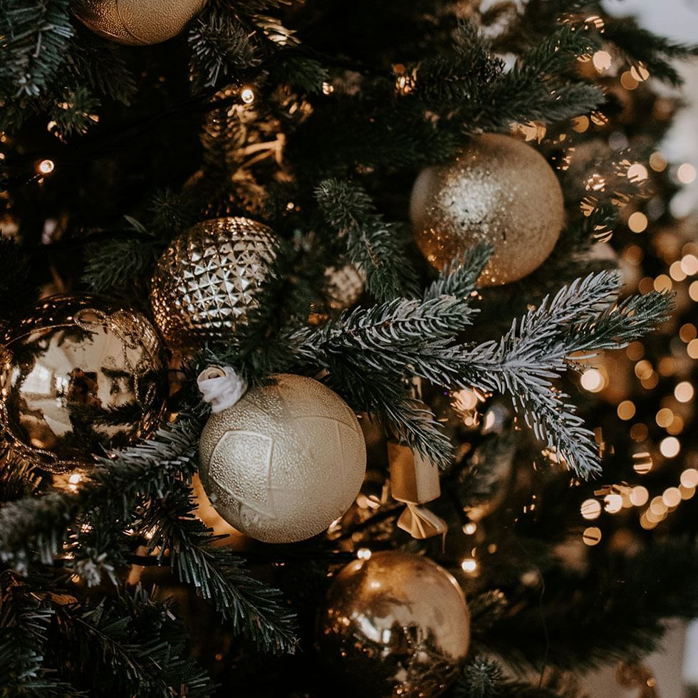 Weihnachtsbaum mit goldenen Kugeln und Lichtern, nahe Zweig mit silbernen Spitzen.