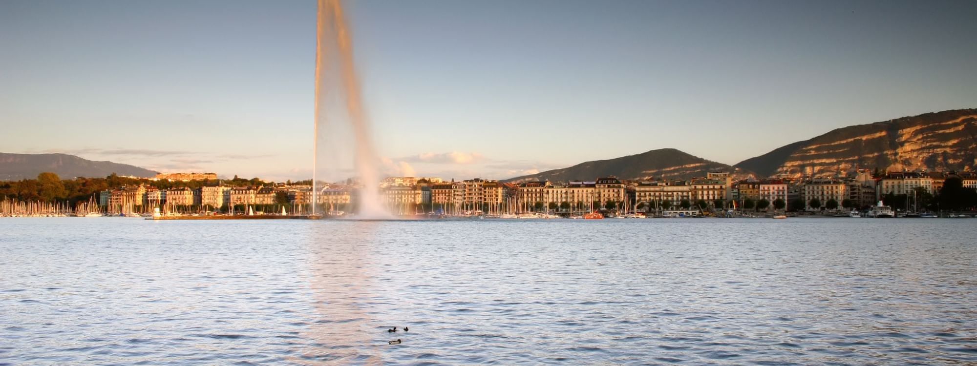 Close-up of the lake with a water feature near Warwick Geneva