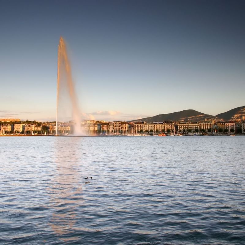 Close-up of the lake with a water feature near Warwick Geneva