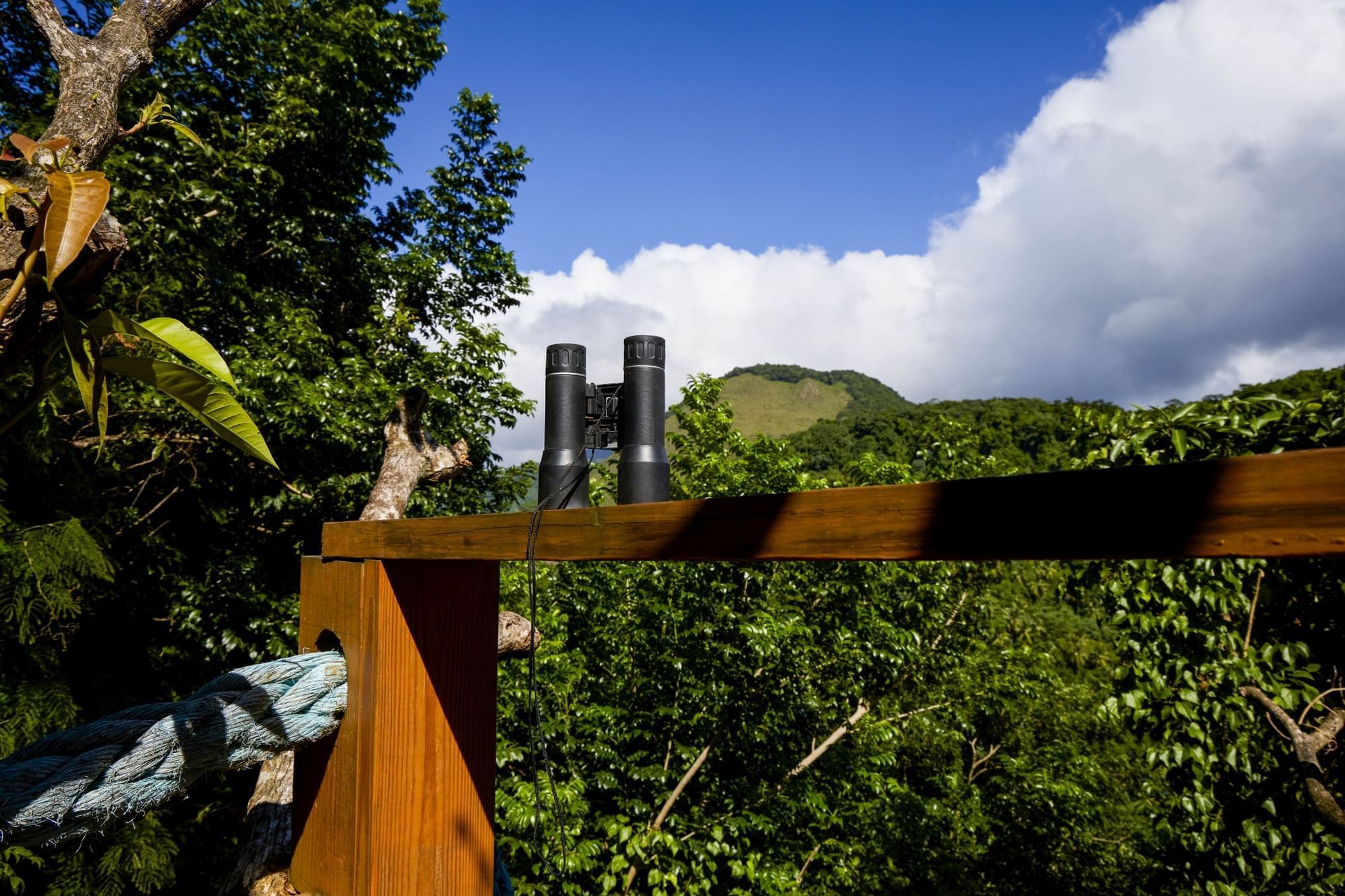 Binoculars on a wooden fence and overlooking nature from Tree Hose at Ladera Resort