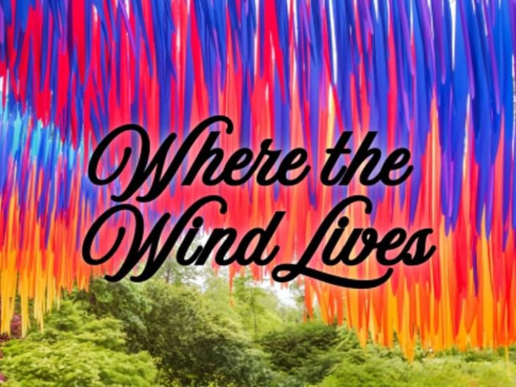 Where the Wind Lives at Garvan Gardens 