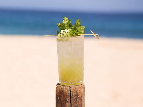 Tropical cocktail with cucumber and mint garnish on the beach at Tortugas, Hacienda Del Mar Los Cabos Redesign, Cabo San Lucas.
