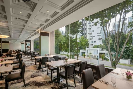 Dining area with city view in White Rose Café at York Hotel Singapore