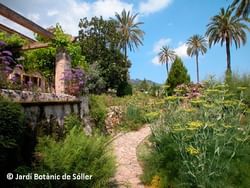 Jardin botanique de Sóller - Majorque