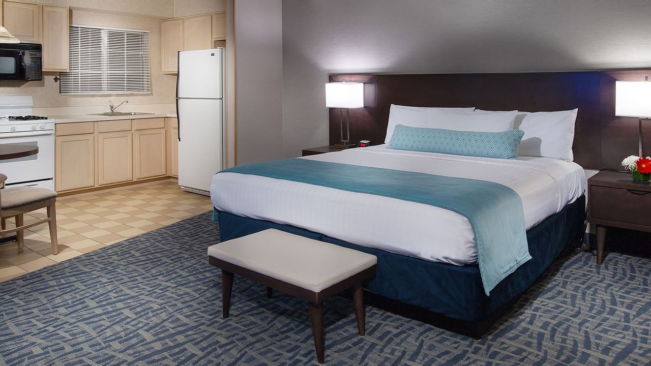 The Safari Inn - Coast King Junior Suite
